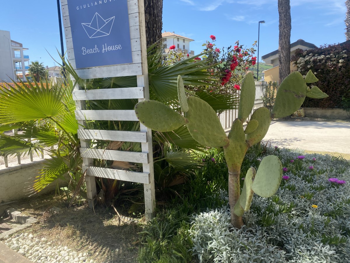 beach house esterno (4)