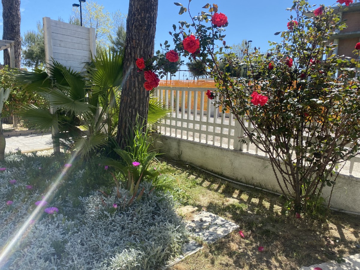 beach house esterno (5)