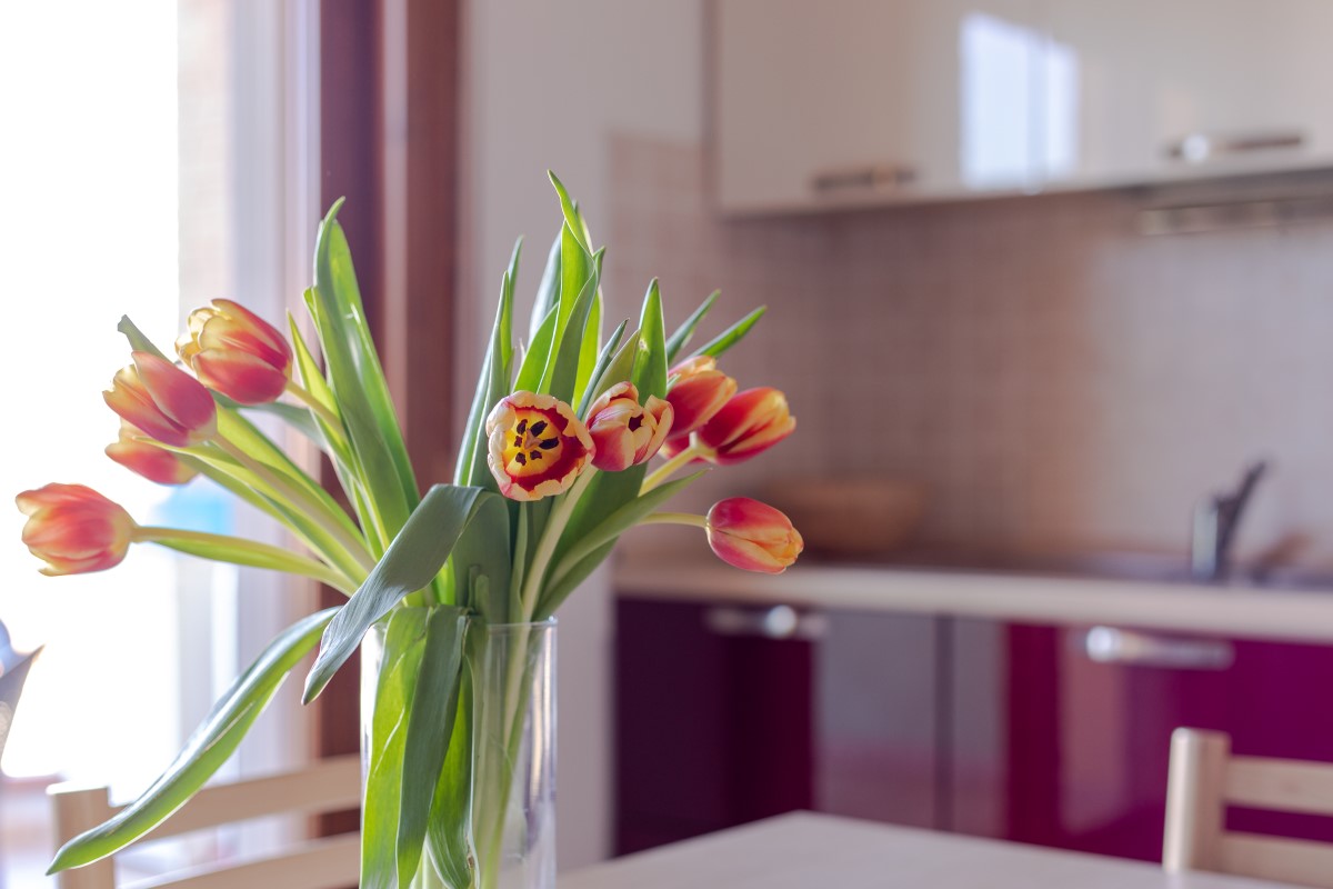 appartamento-pioppeto (3)